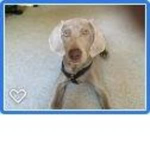 Meet your Posher, Maryann